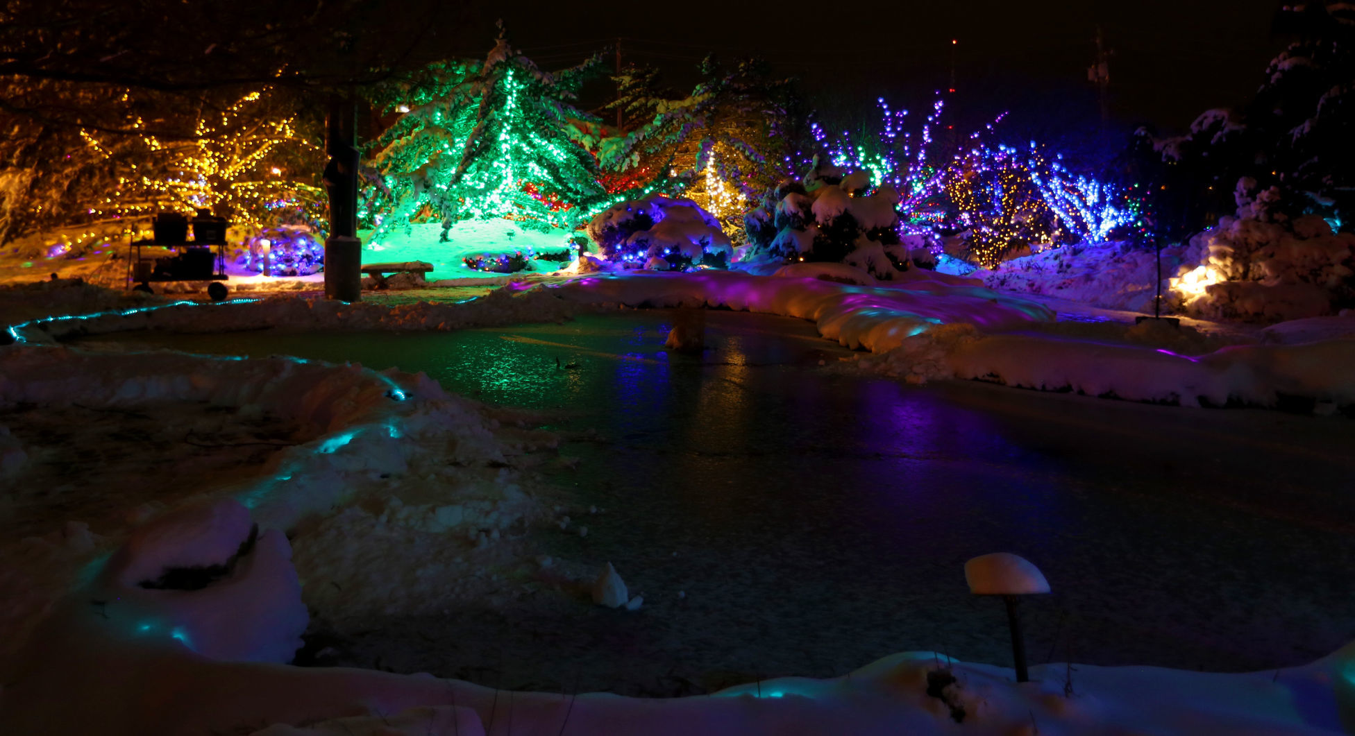 112718-botanical-lights-012